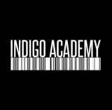 Logo of 'Indigo academy'
